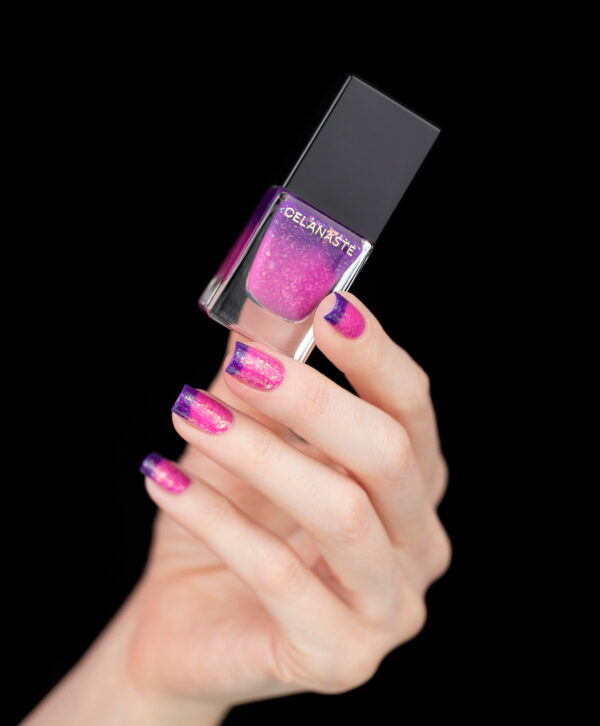 The Grand Budapest Hotel