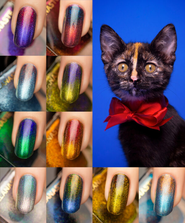 Коллекция Котиков